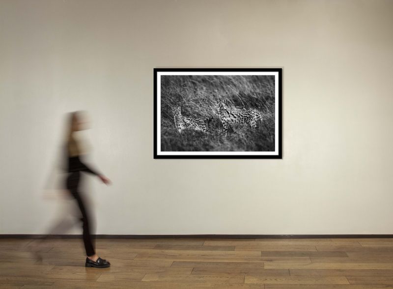 40 x 60 in., edition of 15